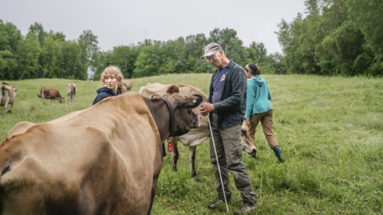 Kiss the Cow Farm