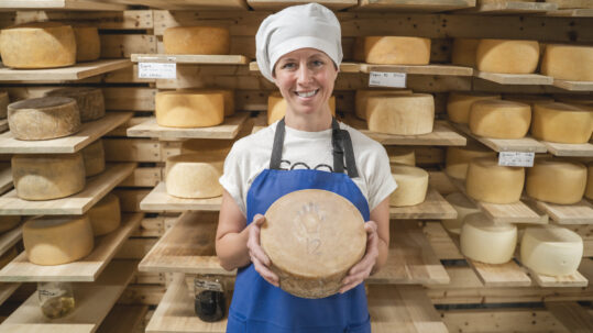 In Windsor, Making Vermont Cheese With a Personal Touch In Windsor, Making Vermont Cheese With a Personal Touch