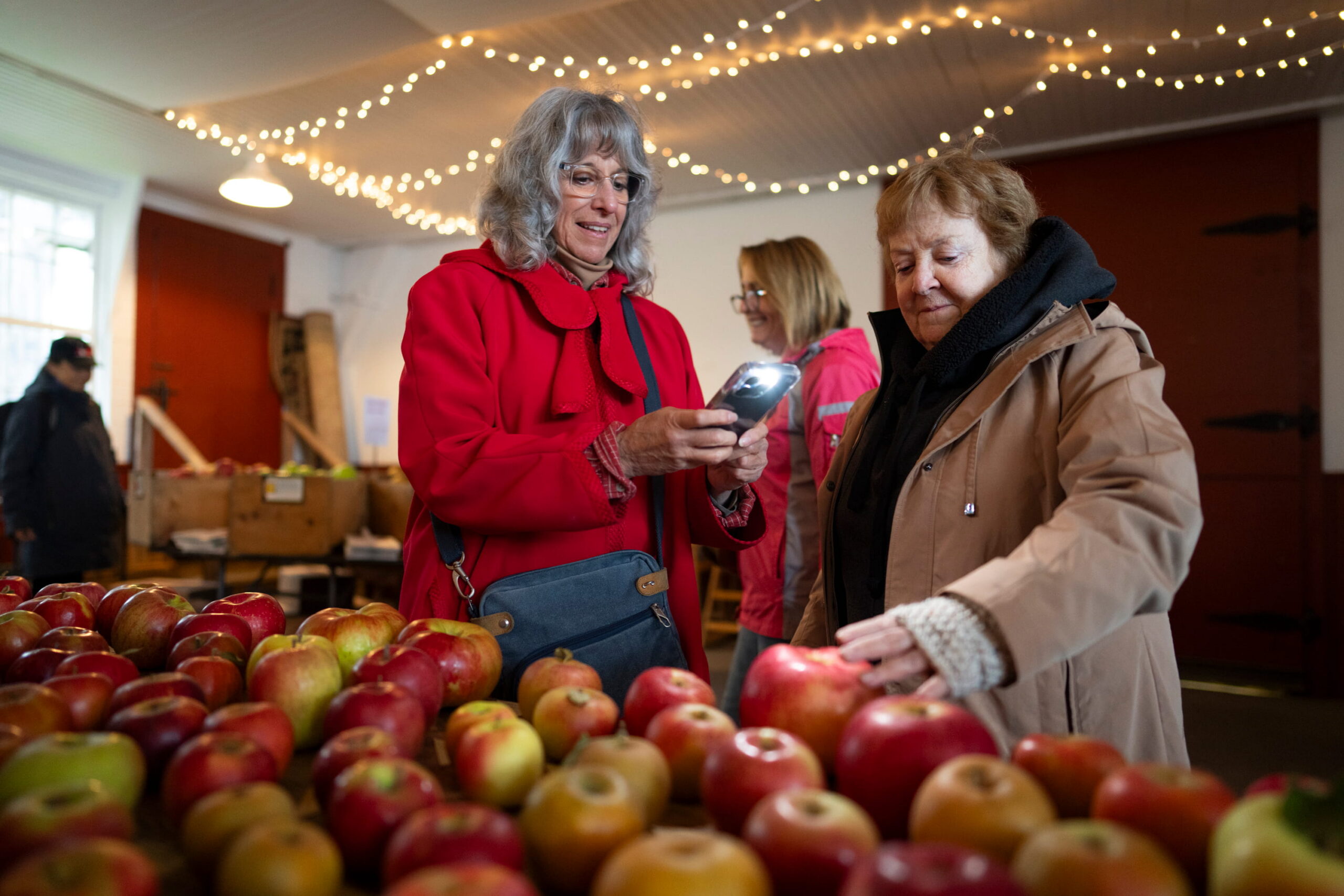 Scott Farm Heirloom Apple Day Dummerston Vermont